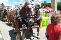 Fête fédérale 2013